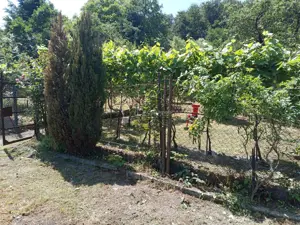 Anina, Celnic, Casa la Cheie, 12 Incaperi, Zero COMISION - imagine 20