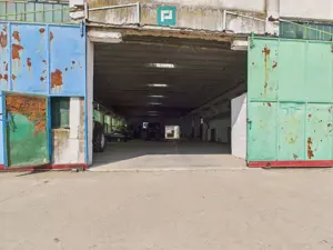 Complex industrial cu hale și teren  în Orțișoara - imagine 6