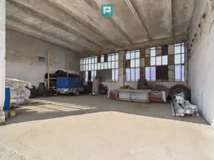 Complex industrial cu hale și teren  în Orțișoara - imagine 14