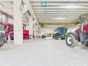 Complex industrial cu hale și teren  în Orțișoara - imagine 4