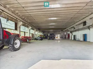 Complex industrial cu hale și teren  în Orțișoara - imagine 2