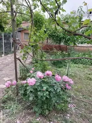 Casă de vinzare - imagine 2