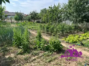 Casa in localitatea Nojorid - imagine 11 Casa in localitatea Nojorid - imagine 11