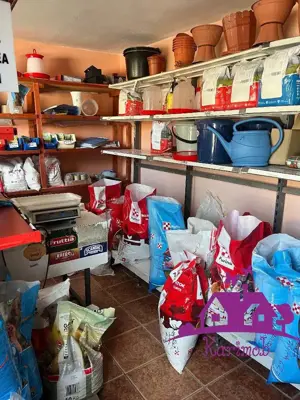 Casa in localitatea Nojorid - imagine 19 Casa in localitatea Nojorid - imagine 19