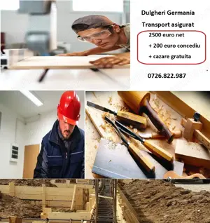 dulgheri si necalificati