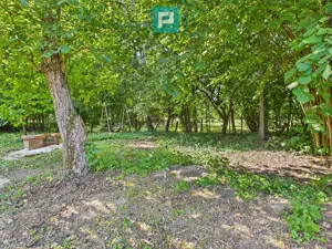 Căsuță de vacanță – cu POTENȚIAL DE INVESTIȚIE - imagine 5 Căsuță de vacanță – cu POTENȚIAL DE INVESTIȚIE - imagine 5