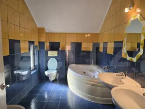 Casa  cu piscina ,7 camere, 447 mp - teren 1535mp, Vetis - imagine 6