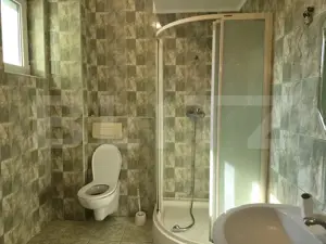 Casa  cu piscina ,7 camere, 447 mp - teren 1535mp, Vetis - imagine 13