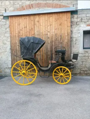 Caleașca 100 de ani 