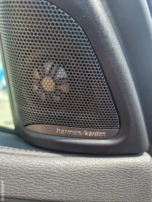 vand BMW x6 3.0d 2016 - imagine 6