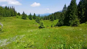 Teren 18600 mp, extravilan,  Fundata, 3 euro mp - imagine 2