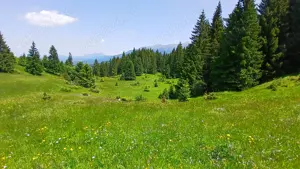 Teren 18600 mp, extravilan,  Fundata, 3 euro mp - imagine 3