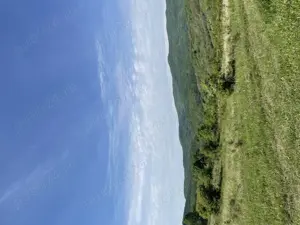 Vând teren extravilan  - imagine 4 Vând teren extravilan  - imagine 4