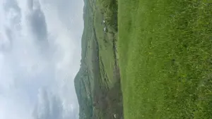 Vând teren extravilan  - imagine 2 Vând teren extravilan  - imagine 2