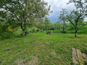 Teren extravilan in Cluj (Dambul rotund) Str. Lombului, zona foarte frumoasa - imagine 7