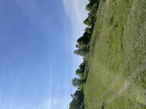 Vând teren extravilan  - imagine 5 Vând teren extravilan  - imagine 5