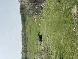 Vând teren extravilan  - imagine 7 Vând teren extravilan  - imagine 7