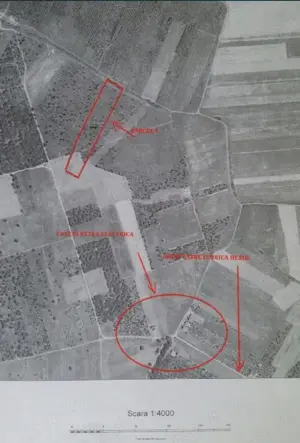 Teren extravilan in Oradea - imagine 4 Teren extravilan in Oradea - imagine 4