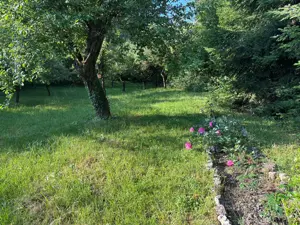 Vand casa in Schei cu teren de 1600mp - imagine 3