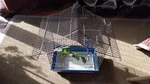 Colivie pasari mici 25x40x55 cm