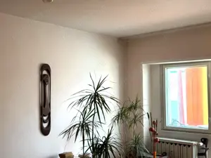 Apartament spatios, 2 camere decomandate, etaj 1, zona Piata Centrala - imagine 4