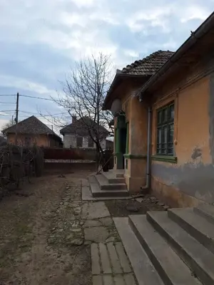 Vand casa in com.Poiana Mare,jud.Dolj - imagine 5