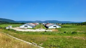 Hale de depozitare  productie de inchiriate