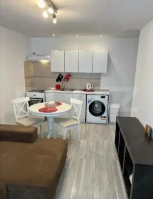 Investitie! Apartament 2 camere Tineretului - imagine 5