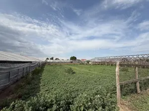 Teren intravilan de vânzare în Matca, județul Galați    1.950 mp | Utilități complete