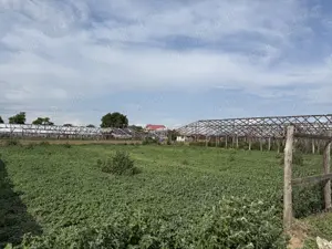 Teren intravilan de vânzare în Matca, județul Galați    1.950 mp | Utilități complete - imagine 3