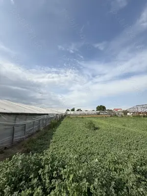 Teren intravilan de vânzare în Matca, județul Galați    1.950 mp | Utilități complete - imagine 5