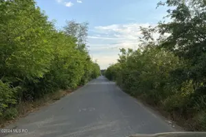 Corbeanca - Tamasi, intravilan, 16562 mp, deschidere 93 m, rezidential - imagine 3 Corbeanca - Tamasi, intravilan, 16562 mp, deschidere 93 m, rezidential - imagine 3