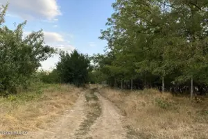 Corbeanca - Tamasi, intravilan, 16562 mp, deschidere 93 m, rezidential - imagine 2 Corbeanca - Tamasi, intravilan, 16562 mp, deschidere 93 m, rezidential - imagine 2