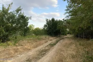 Corbeanca - Tamasi, intravilan, 16562 mp, deschidere 93 m, rezidential - imagine 8 Corbeanca - Tamasi, intravilan, 16562 mp, deschidere 93 m, rezidential - imagine 8