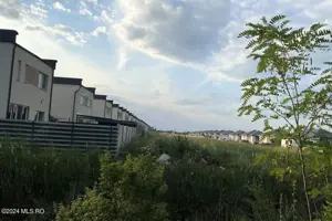 Corbeanca - Tamasi, intravilan, 16562 mp, deschidere 93 m, rezidential - imagine 4 Corbeanca - Tamasi, intravilan, 16562 mp, deschidere 93 m, rezidential - imagine 4