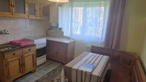 Vand garsoniera cu 2 camere in Deva, zona Gojdu (str. Viitorului), etaj 3, mobilat - imagine 4