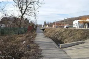 Valea Ursului - DN 7, Teren Stradal 2744 mp - imagine 3