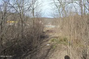 Valea Ursului - DN 7, Teren Stradal 2744 mp - imagine 7