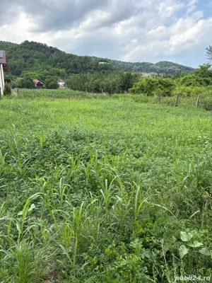 Teren Copăcelu, 450mp 