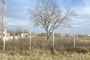 Afumati - Str. Iasomiei, 2409 MP, stradal, intravilan, deschidere 12 m - imagine 10