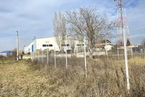 Afumati - Str. Iasomiei, 2409 MP, stradal, intravilan, deschidere 12 m - imagine 19