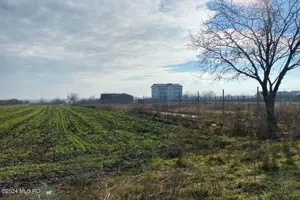 Afumati - Str. Iasomiei, 2409 MP, stradal, intravilan, deschidere 12 m - imagine 4