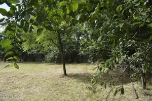 Suseni - Teren intravilan cu casa batraneasca, plan, suprafata 4700 mp - imagine 10