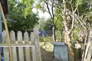 Suseni - Teren intravilan cu casa batraneasca, plan, suprafata 4700 mp - imagine 13