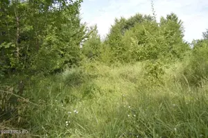 Suseni - Teren intravilan cu casa batraneasca, plan, suprafata 4700 mp - imagine 20