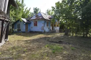 Suseni - Teren intravilan cu casa batraneasca, plan, suprafata 4700 mp - imagine 15