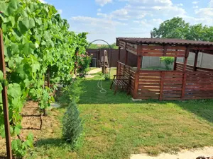 Vind casa in Vinga - imagine 10