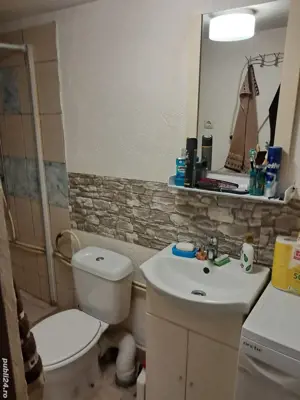 Vind casa in Vinga - imagine 4