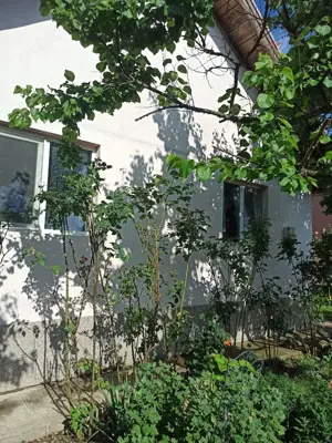 Schimb  vând casa Becicherec