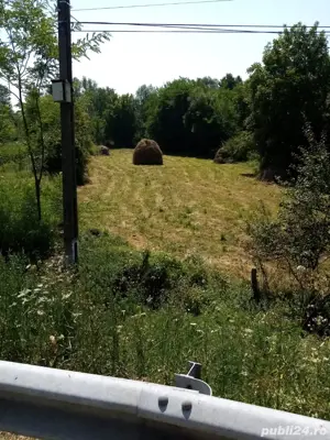 Teren Barlogu comuna Stoenesti - imagine 4